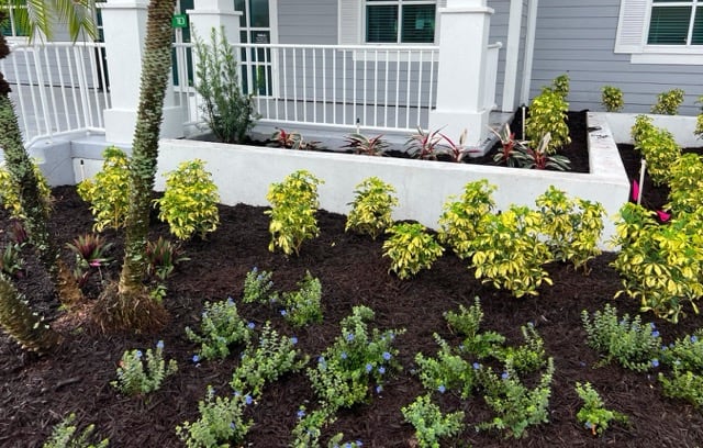 Insignia is Tampa’s number-one mulch provider