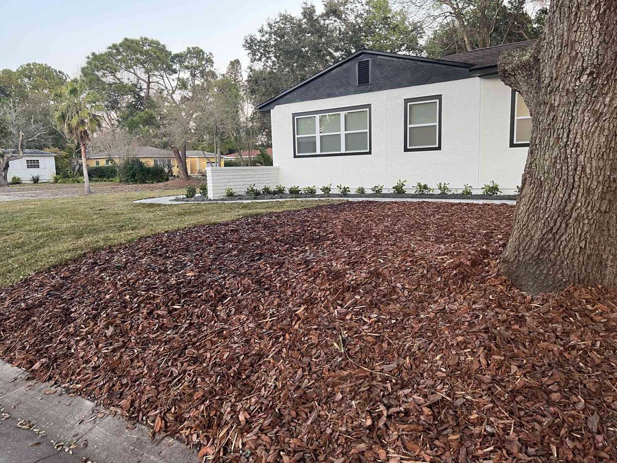 IMG 6551 scaled - Insignia Landscape Professional drainage can protect your yard and leave it looking beautiful like this.