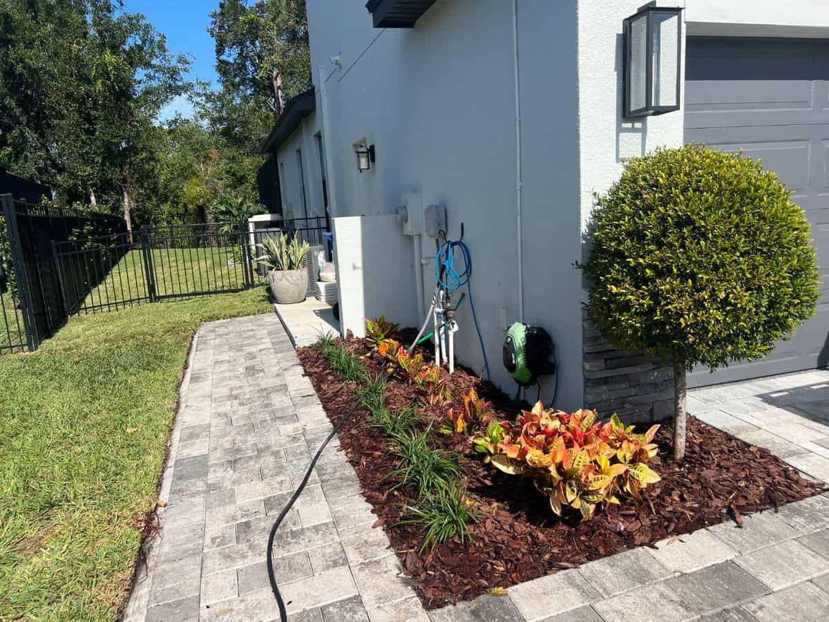 insignia landscape service areas bloomingdale sod installations - Insignia Landscape A small bed with new big mulching chips.
