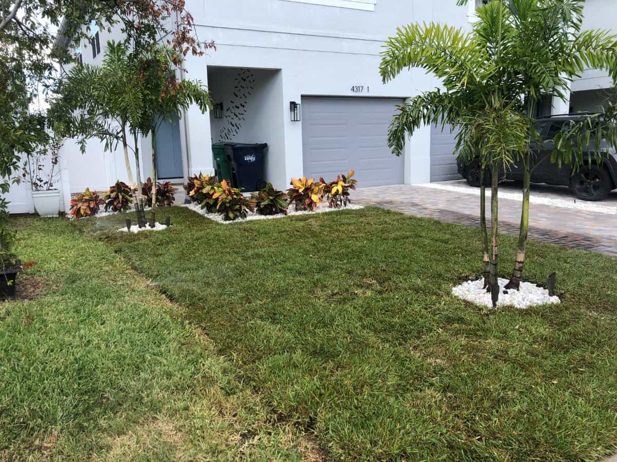 insignia landscape service areas lutz lawn services - Insignia Landscape Professional landscaping in Lutz, including sod installation and landscape lighting<br />