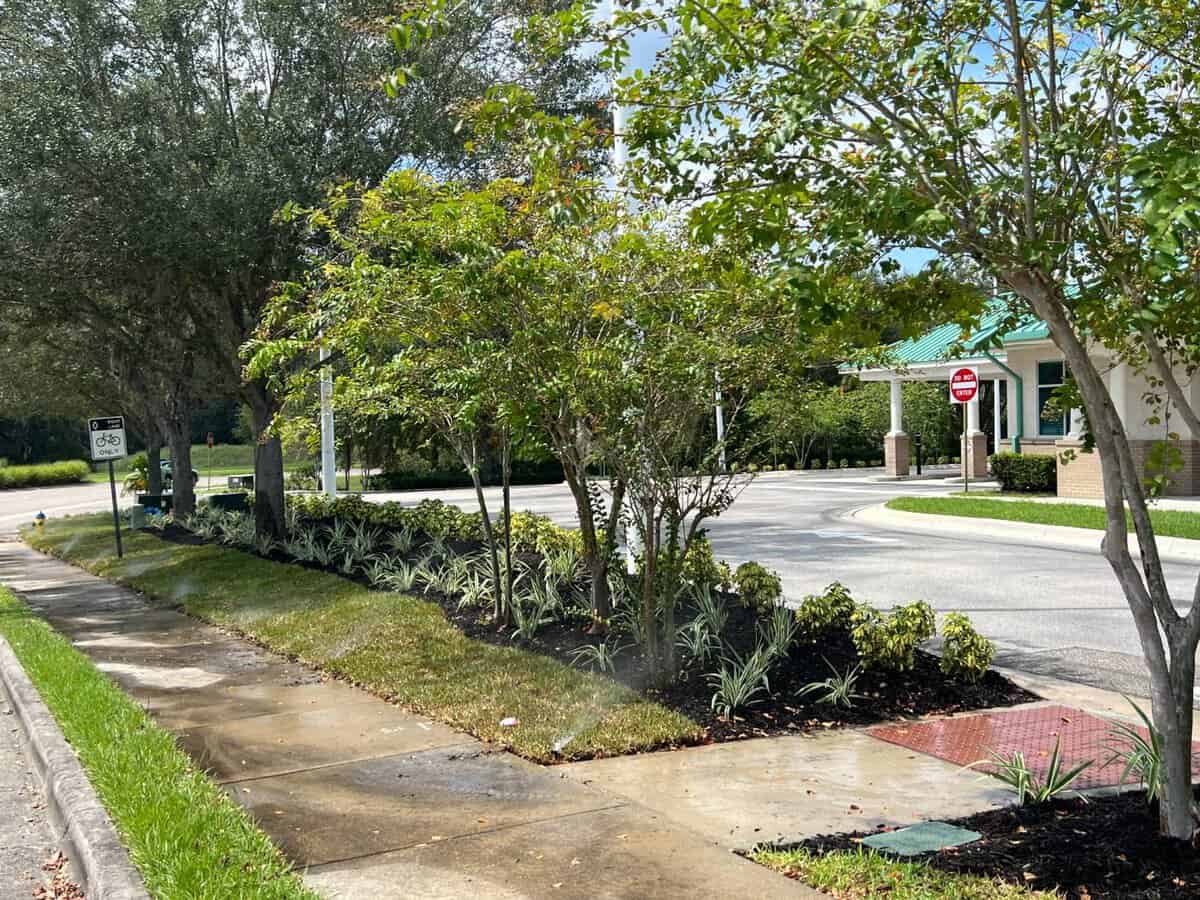insignia landscape services lawn services petersburg - Insignia Landscape Lawn services for homes and businesses in Tampa, St Petersburg, and Clearwater