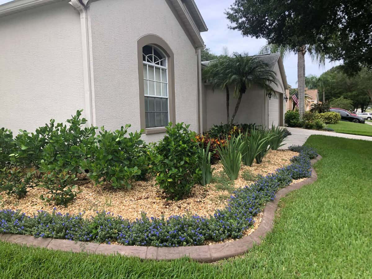 insignia landscape service areas Largo landscape lighting - Insignia Landscape Florida landscaping, sod installation, and landscape lighting solutions near Largo<br />