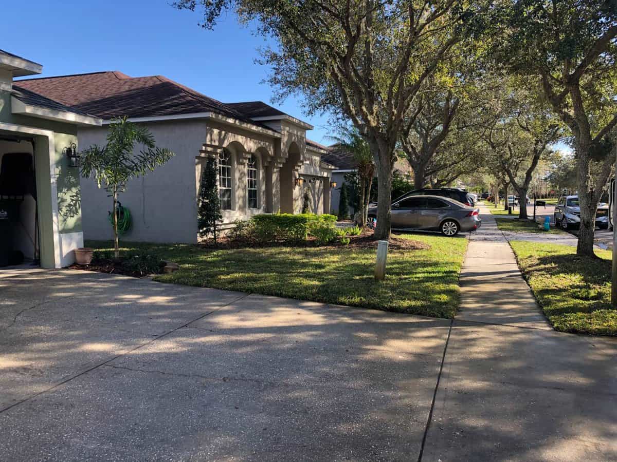 Palm Harbor, Florida’s top choice for landscaping, sod installation, and landscape lighting<br />
