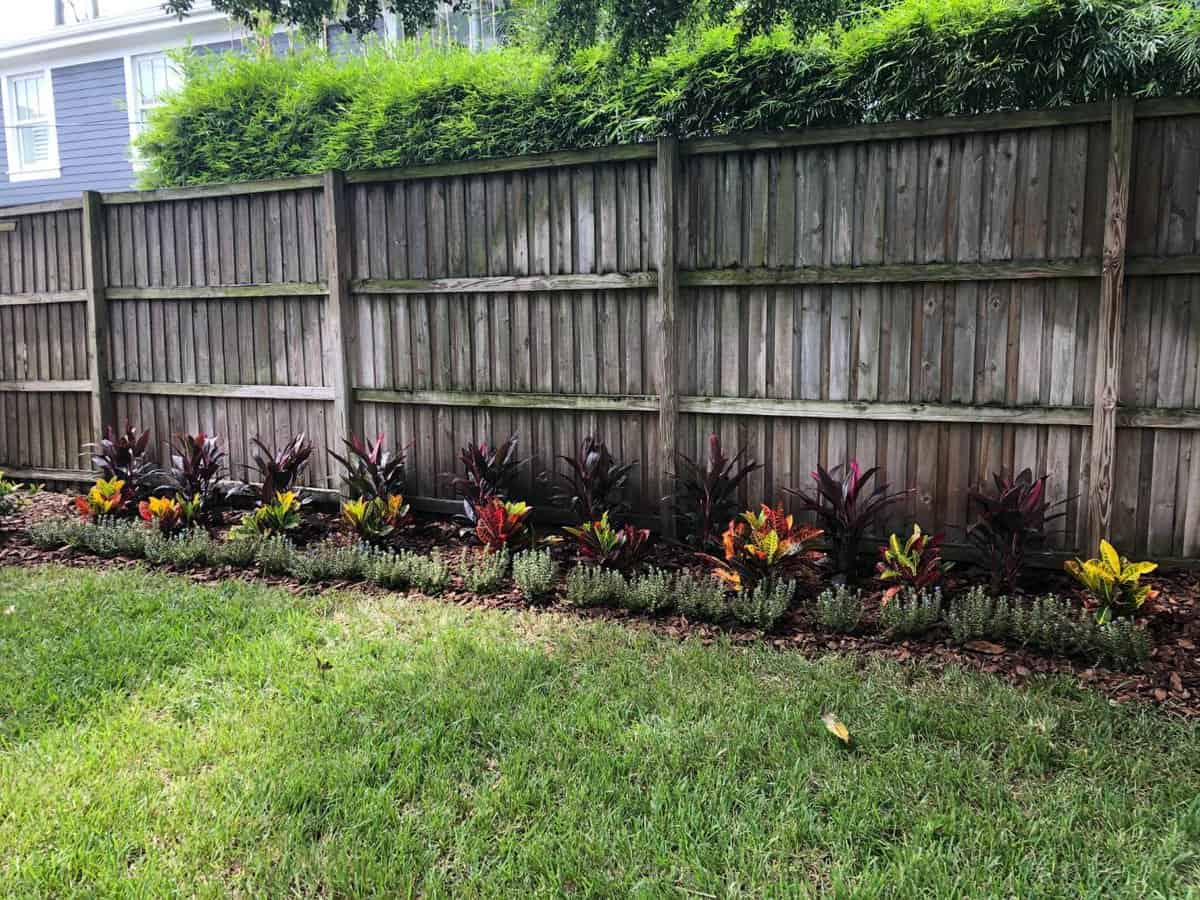 insignia landscape service areas pinellas park sod installations - Insignia Landscape Best Pinellas Park landscaping, sod installation, and landscape lighting professionals<br />