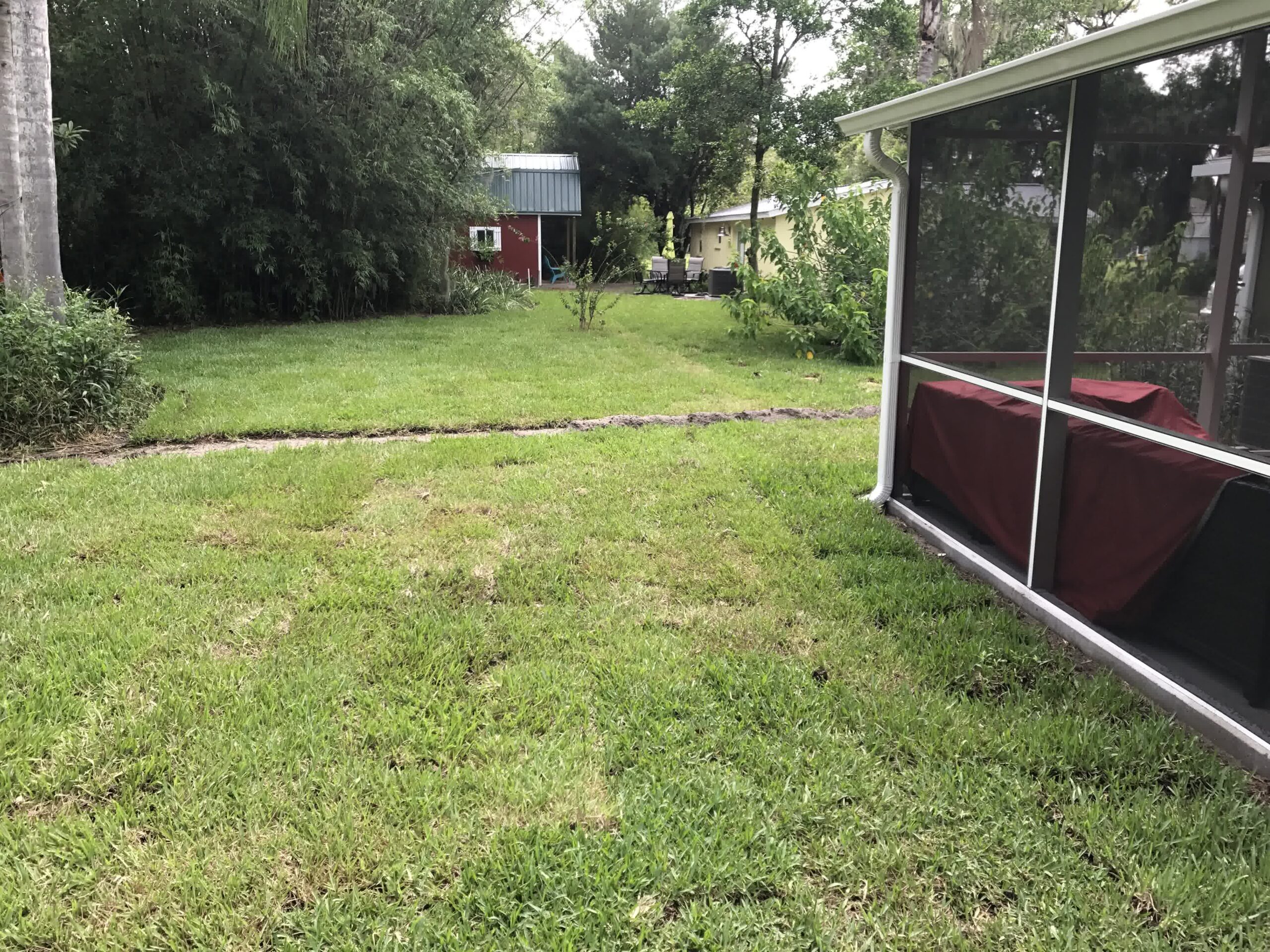 insignia landscape apollo beach Install Sod in Patchy Parts of Your Yard Restore Your Lawn to Its Former Glory scaled - Insignia Landscape A lush lawn from the help of sod installation.