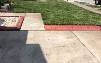 The Different Sod Types & What They Do