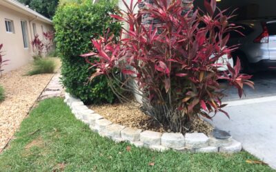 Discover the Best Landscaping Ideas for Florida in 2025