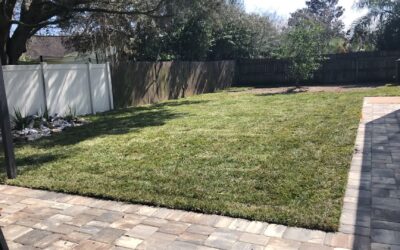 New Sod Secrets: Water, Mow, and Grow the Right Way