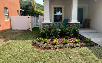Transform Your Yard Fast with Genius Landscaping Hacks for Instant Curb Appeal