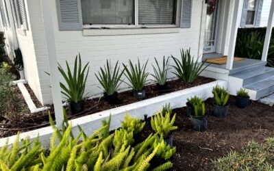 Retaining Wall Care Made Easy: Drainage, Maintenance & Smart Fixes